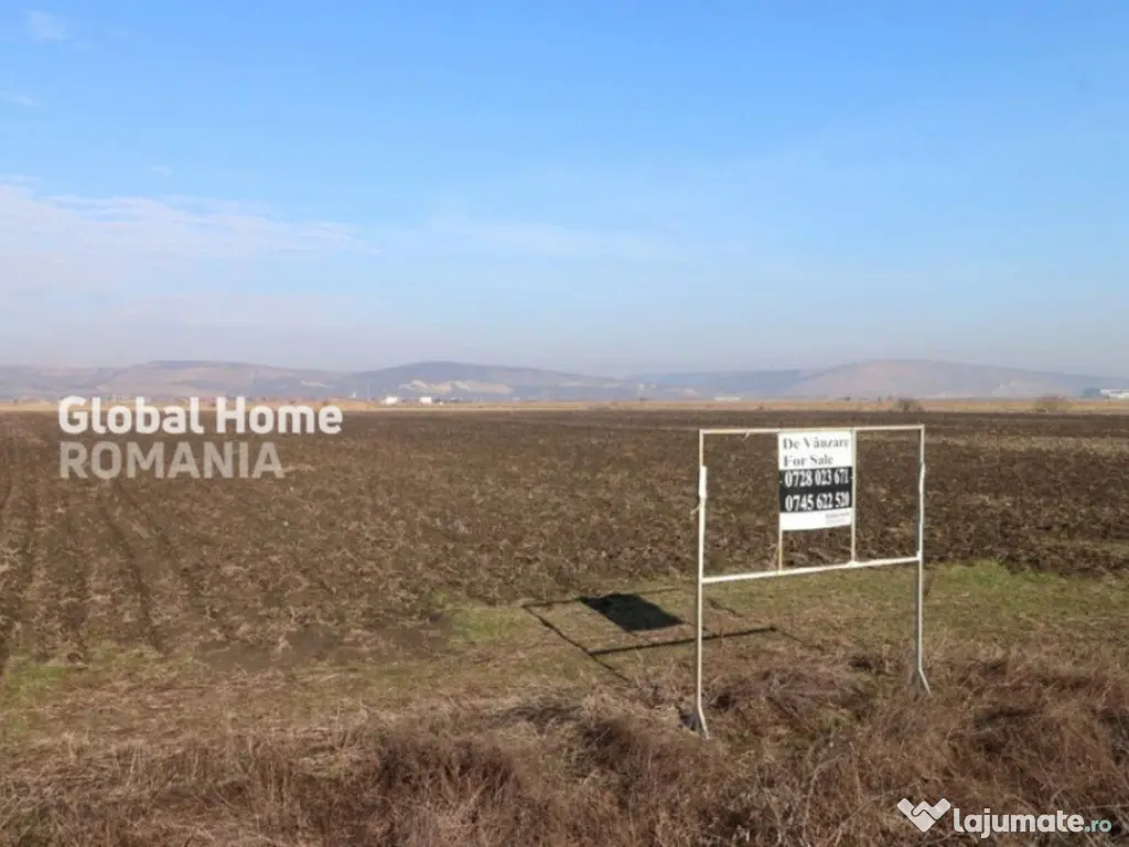 Teren 25000 MP | TG. MURES-SANPAUL | INTRAVILAN | 98 m acces 