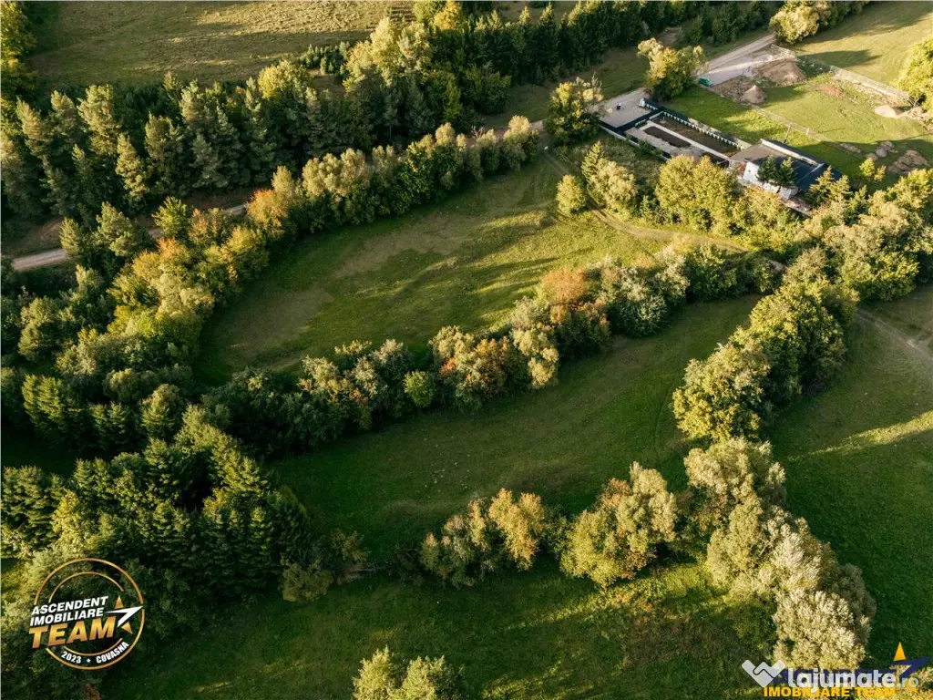 FILM! Teren extravilan, Ojdula, 4.800 mp, zona pitoreasca 