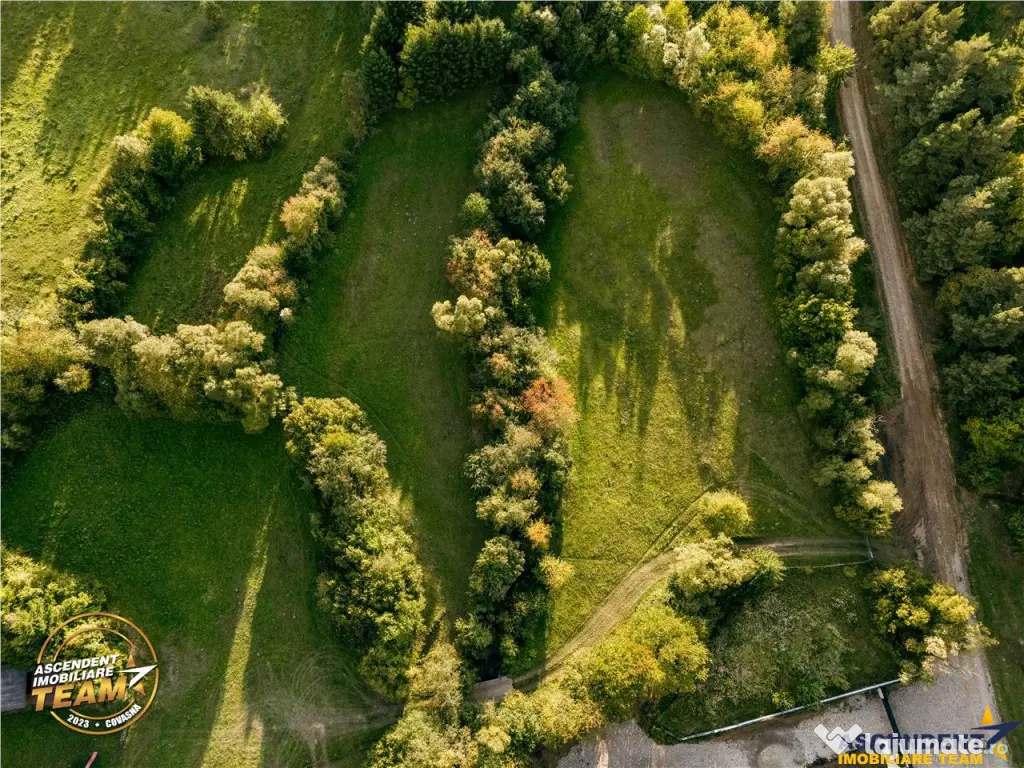 FILM! Teren extravilan, Ojdula, 4.800 mp, zona pitoreasca 