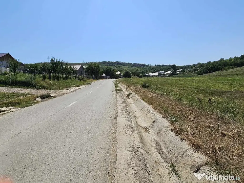 Teren 2.340mp, Dancas – Miroslava, 