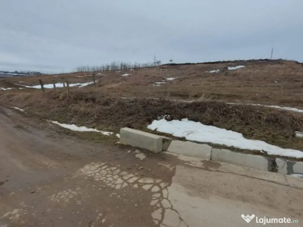 Teren 2.340mp, Dancas – Miroslava, 