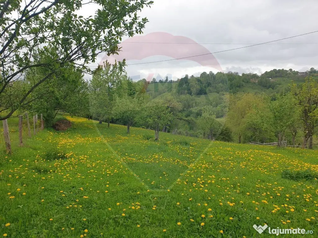 COMISION 0% | Teren 2,000mp Bran | Strada Clincea | 