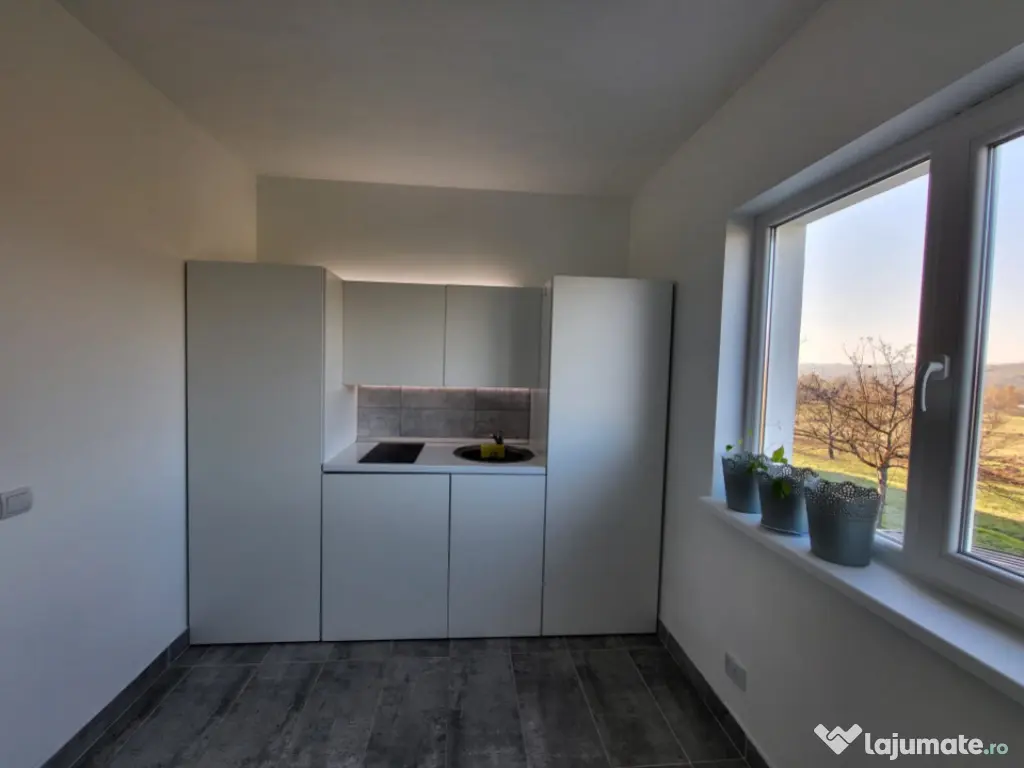 Casă P+E 2023 în Dumbrăvița, 112 mp, teren 7.8 ari, mobi 