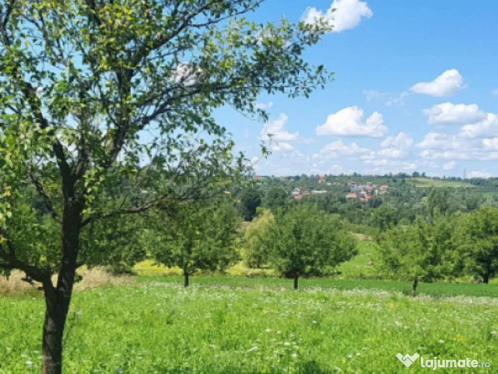 Casă P+E 2023 în Dumbrăvița, 112 mp, teren 7.8 ari, mobi 