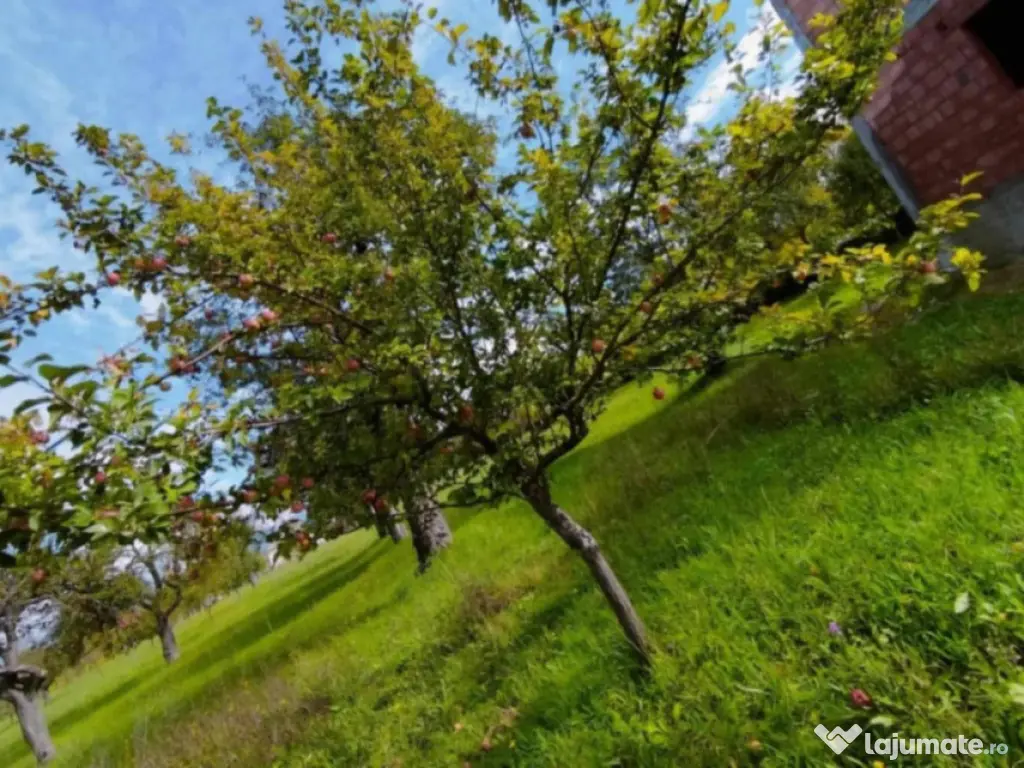 Casă P+E 2023 în Dumbrăvița, 112 mp, teren 7.8 ari, mobi 