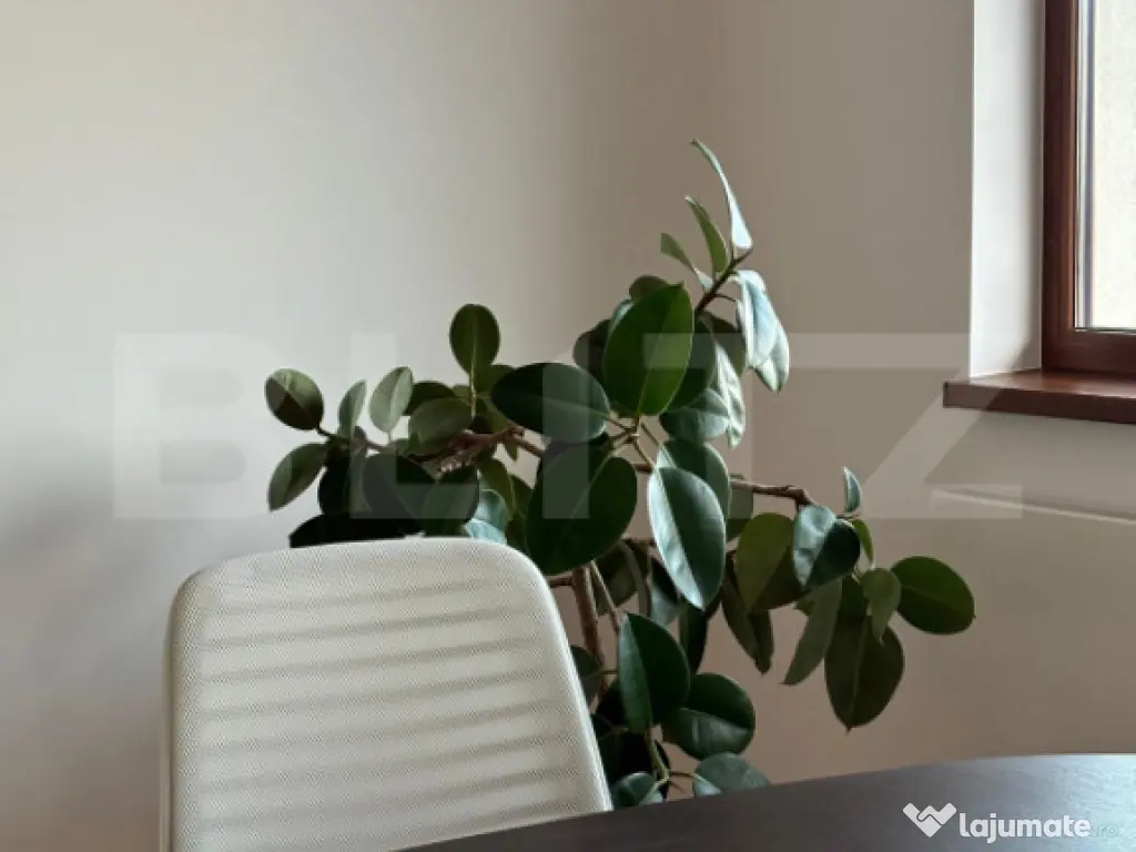 Birouri complet echipate de închiriat – Str. Horia, Braș 