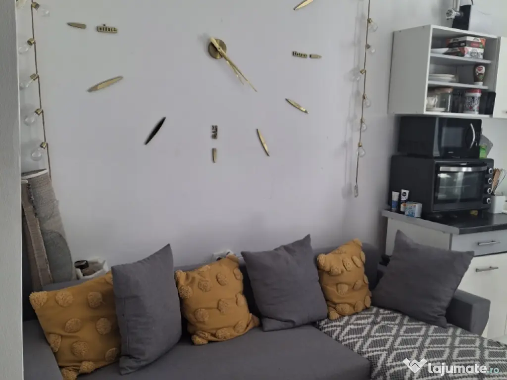 Garsonieră de vanzare 20 mp. Pret negociabil. str. Tineretului