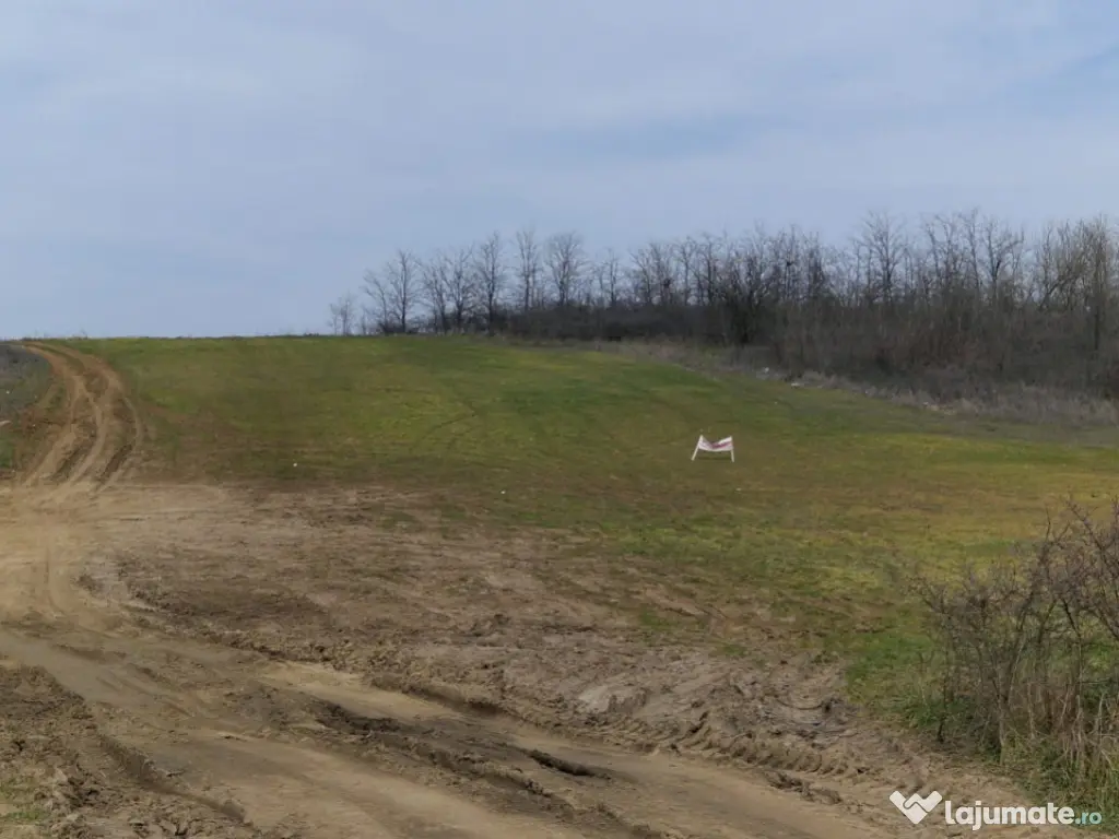 Teren intravilan de vânzare 6050 mp – Leșile 