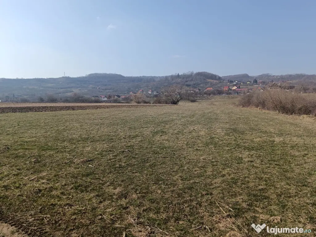 Remetea Chioarului, 29 ari teren 