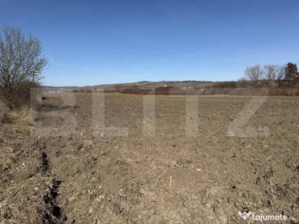 Teren extravilan in suprafata de 4000 mp in loc. Hereclean 