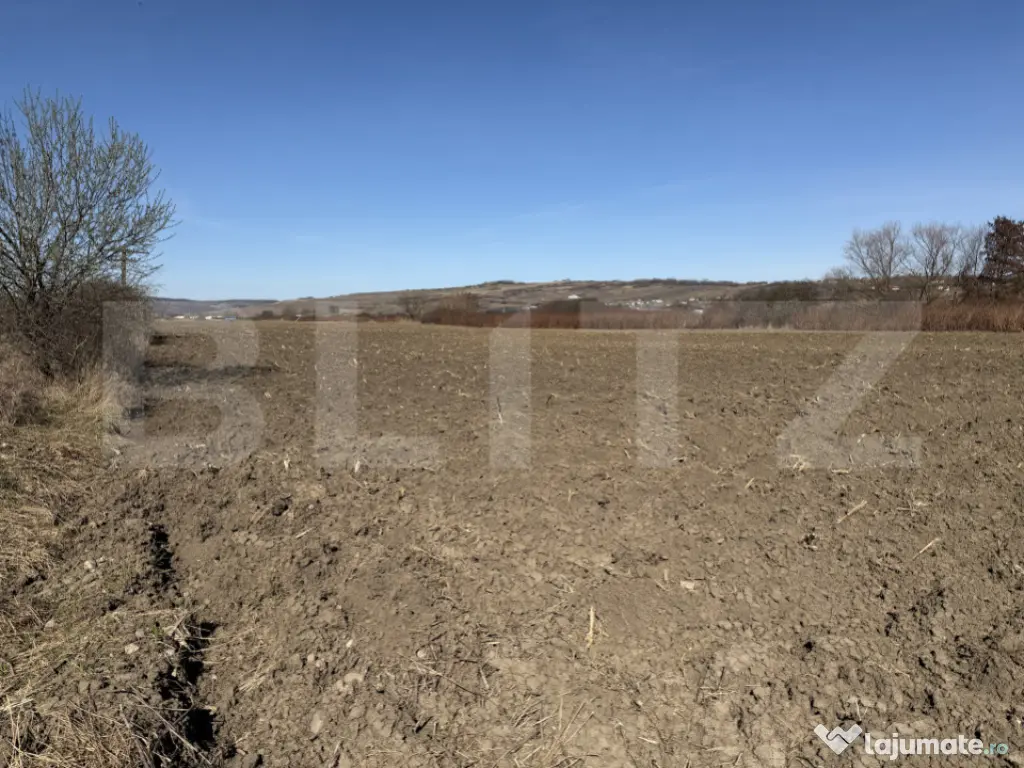 Teren extravilan in suprafata de 4000 mp in loc. Hereclean 