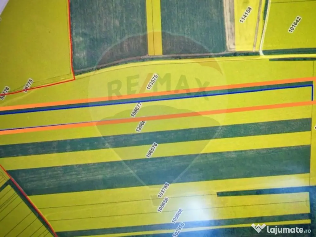 Teren extravilan 33.750 mp I Corbeanca