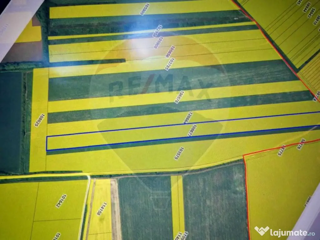 Teren extravilan 33.750 mp I Corbeanca