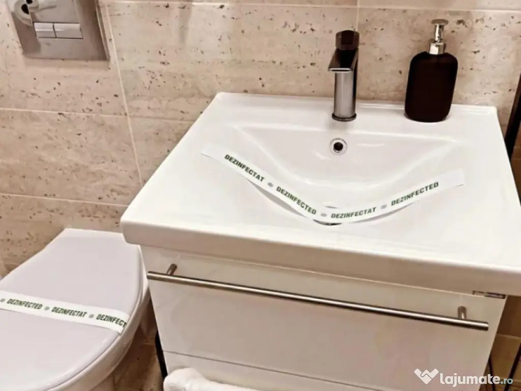 Garsoniera de inchiriat, in zona Casa de Cultura 