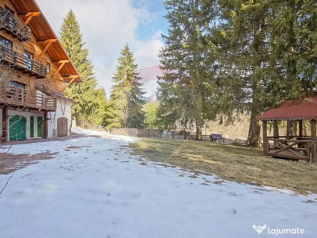 Vilă istorică, proiectată de arhitectul Emil Nădejde ...