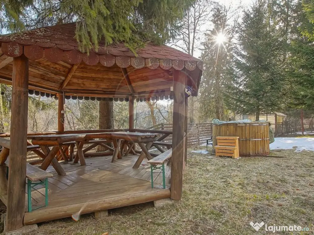 Vilă istorică, proiectată de arhitectul Emil Nădejde ...