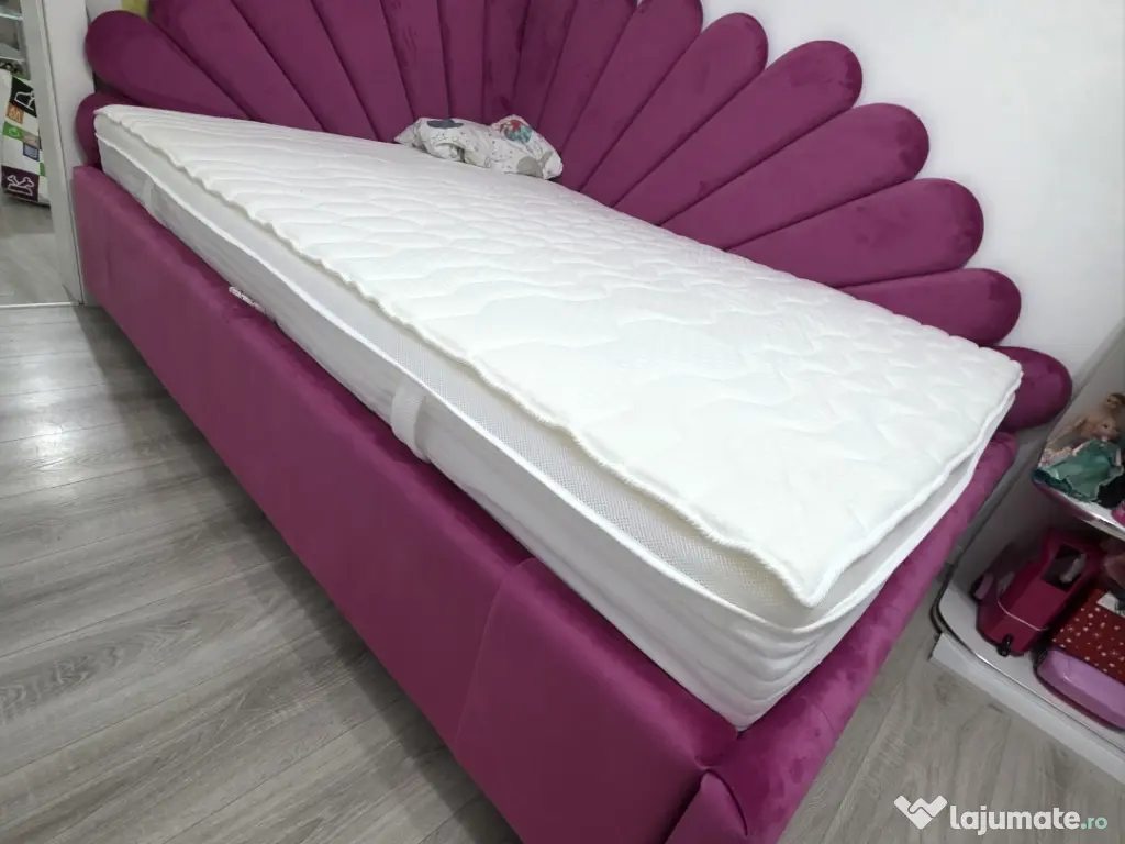 Paturi tapitate , mobilier tapitat 