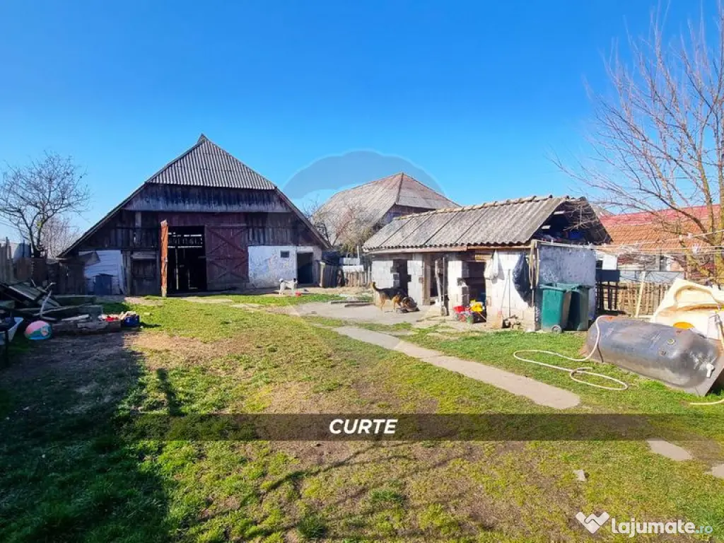 Casă de vânzare în Borlești, comuna Pomi