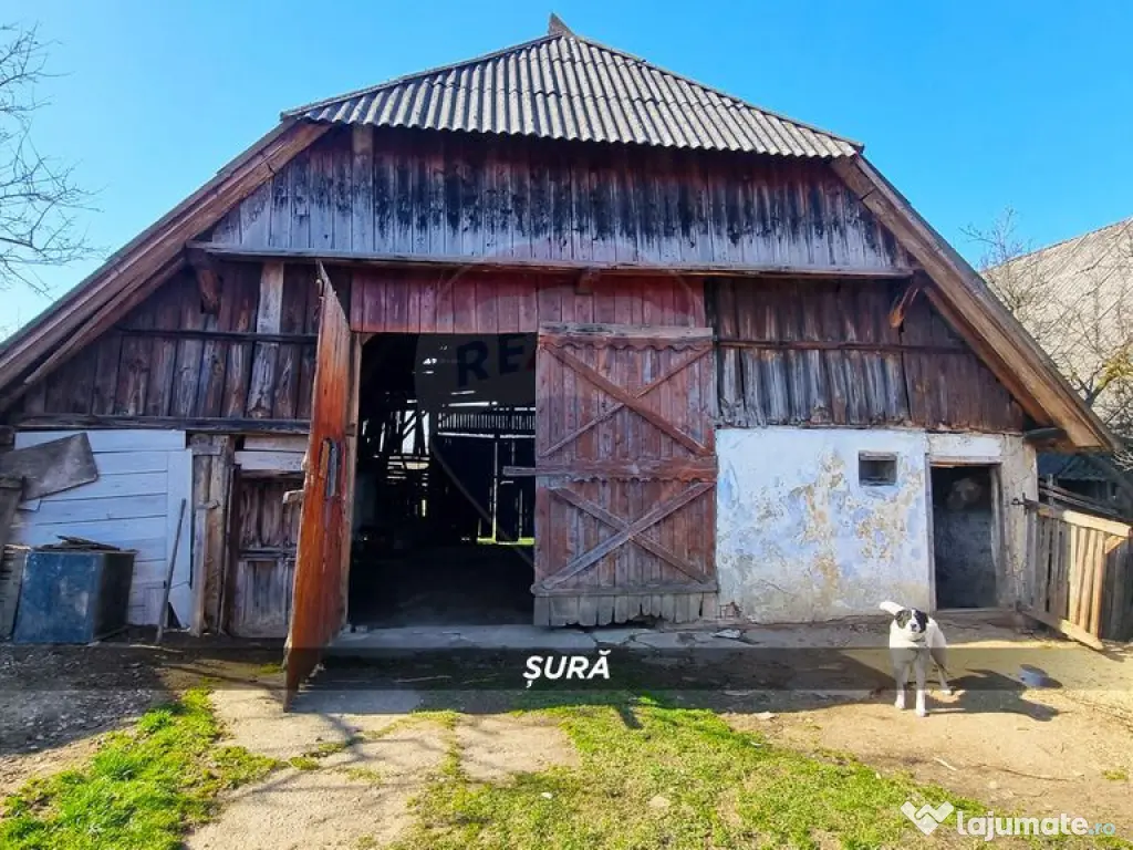 Casă de vânzare în Borlești, comuna Pomi