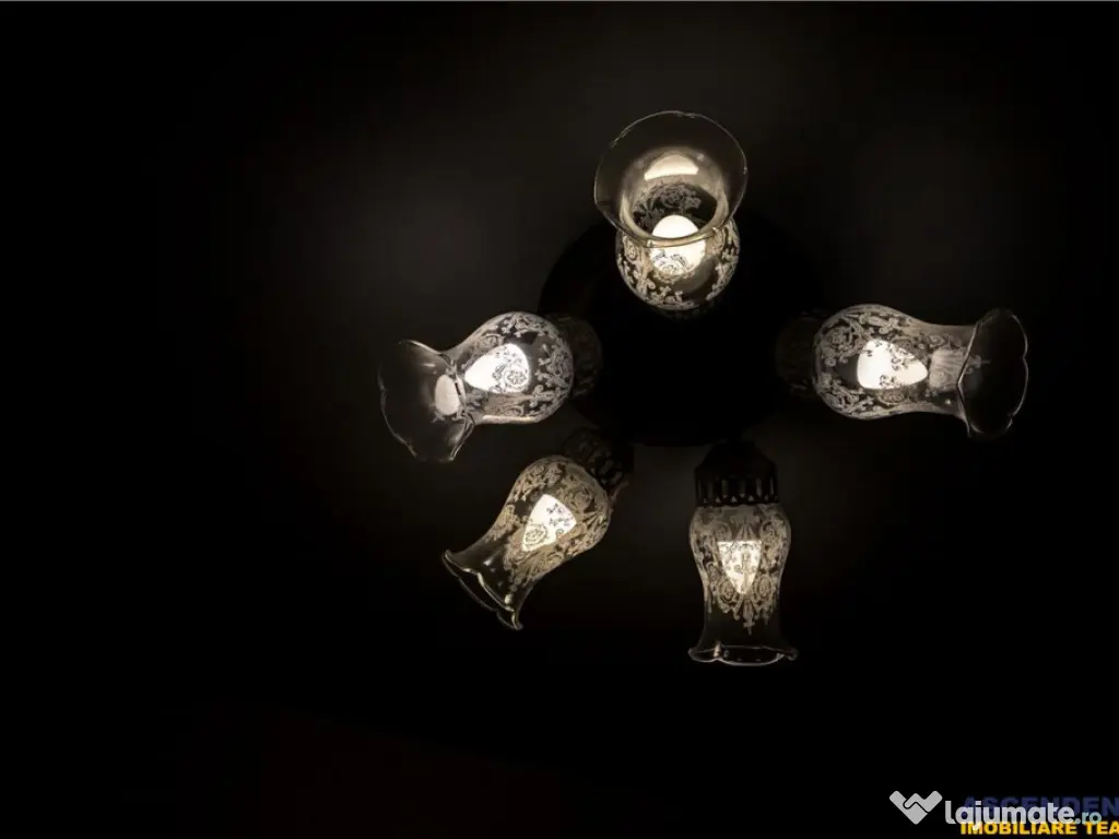 3D!Studio cochet si aerisit,regim vila, parcare privata,Trac 