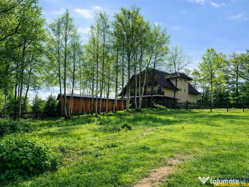 Teren intravilan construibil 550 mp, Tohanita, Zarnesti,Bras 