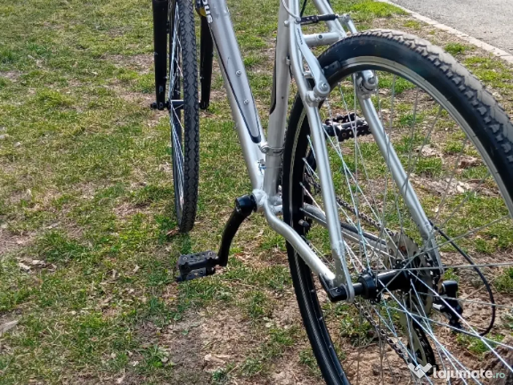 Bicicleta de oras 