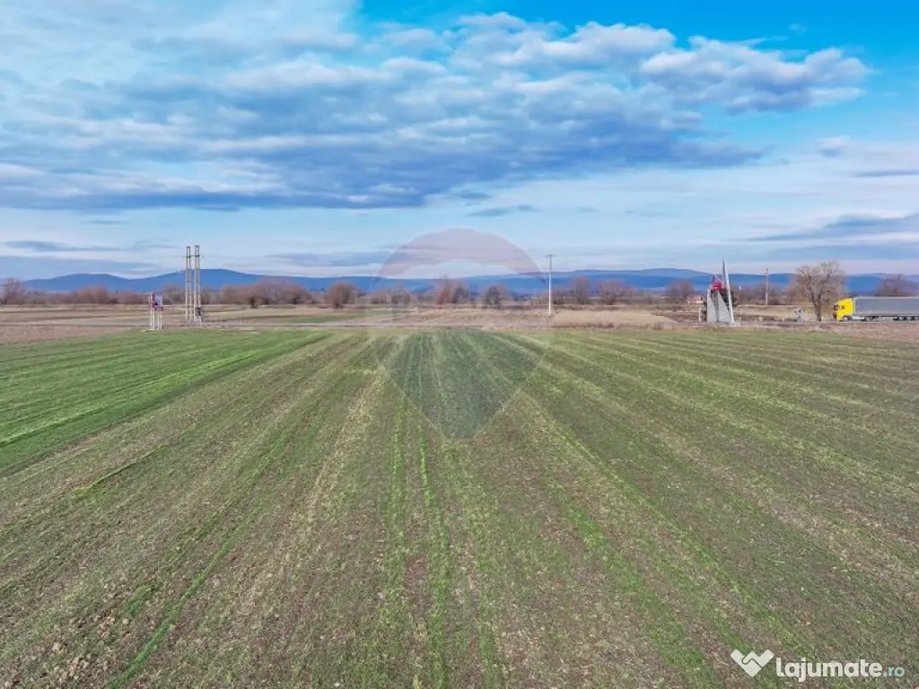 Teren 5,300mp Prejmer / DN11 Brașov-Covasna 