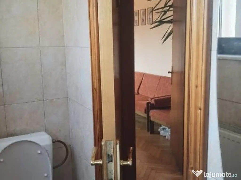 Cașin, Apartament 5 camere, renovat recent, vilă 