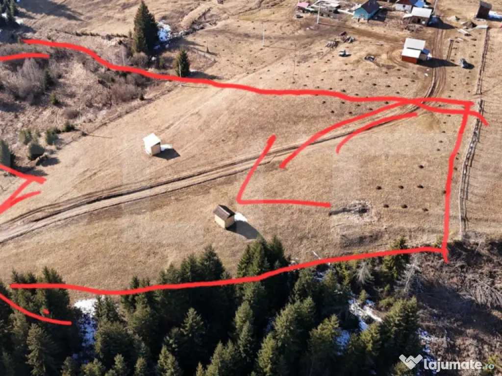 Teren Șaru Dornei, 3 ha extravilan