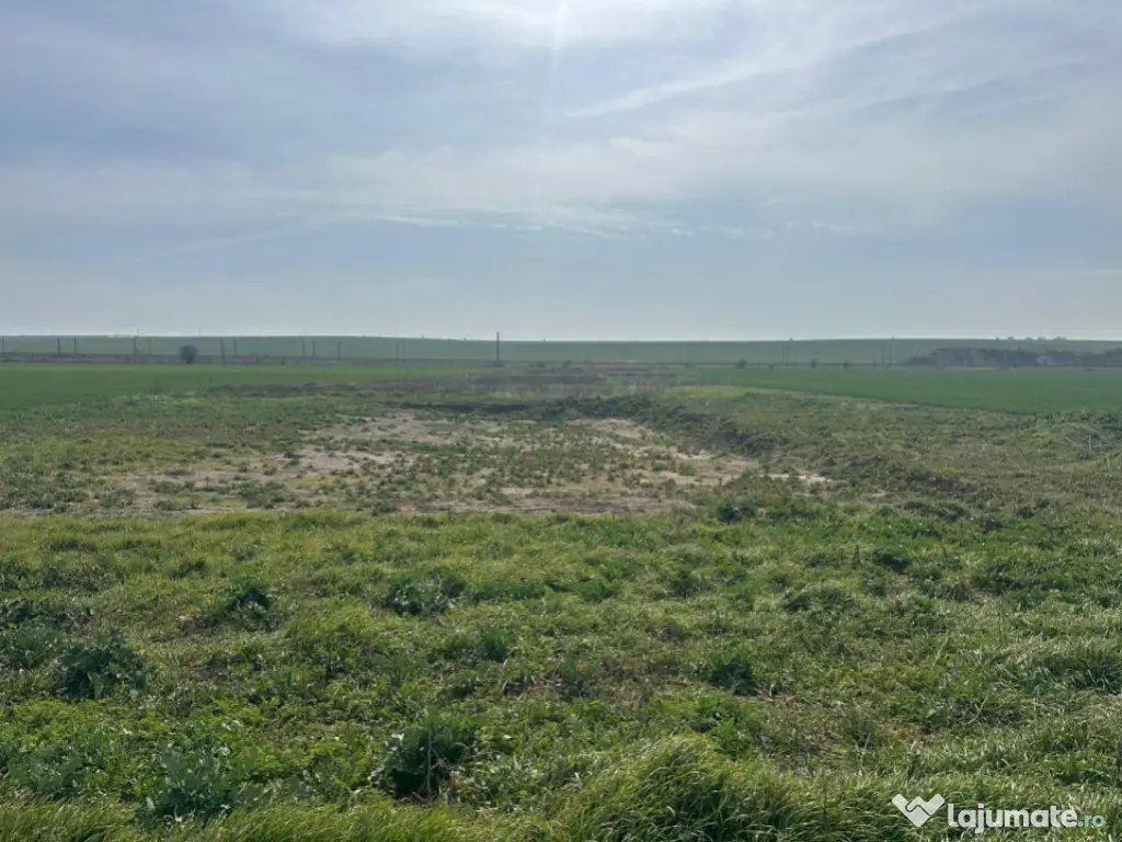 Teren extravilan 10.000 mp, DN-reprezentanta VOLVO -dezmembr 