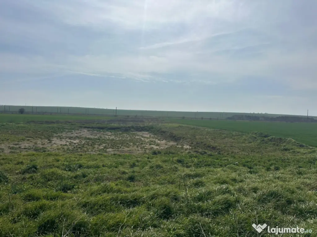 Teren extravilan 10.000 mp, DN-reprezentanta VOLVO -dezmembr 