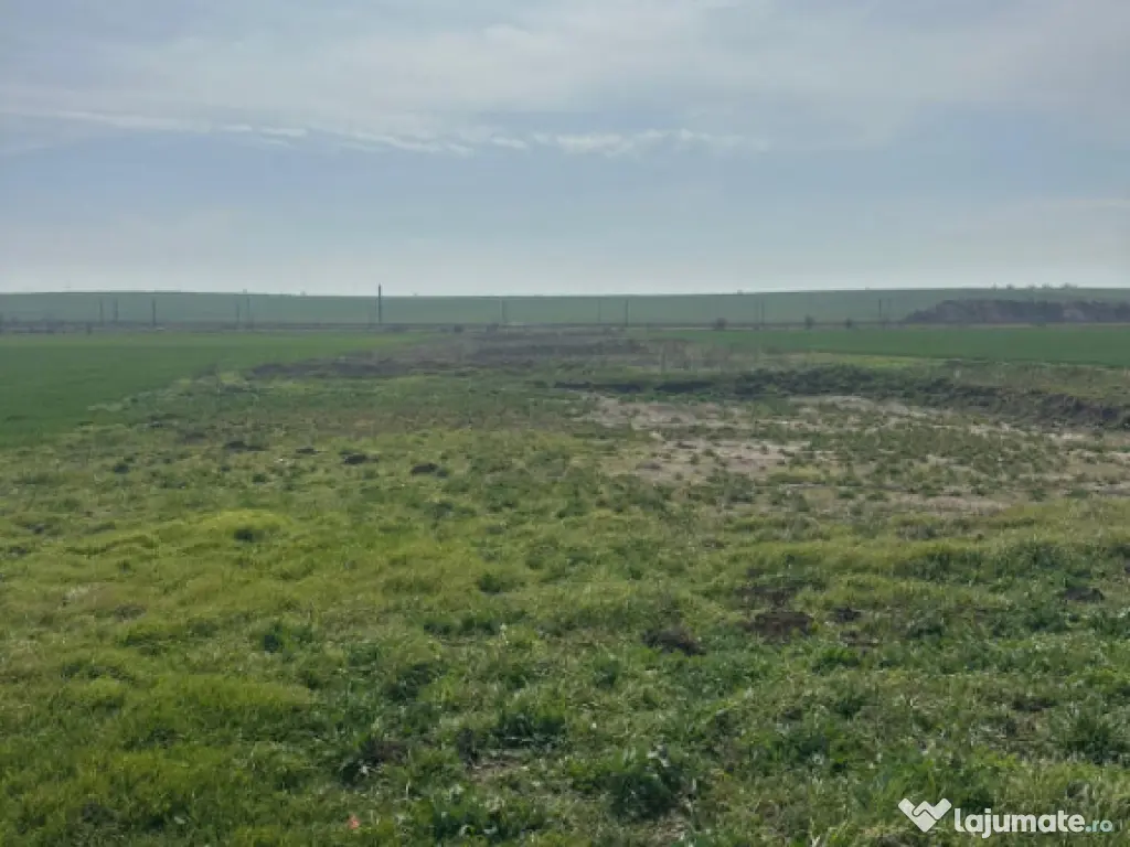 Teren extravilan 10.000 mp, DN-reprezentanta VOLVO -dezmembr 