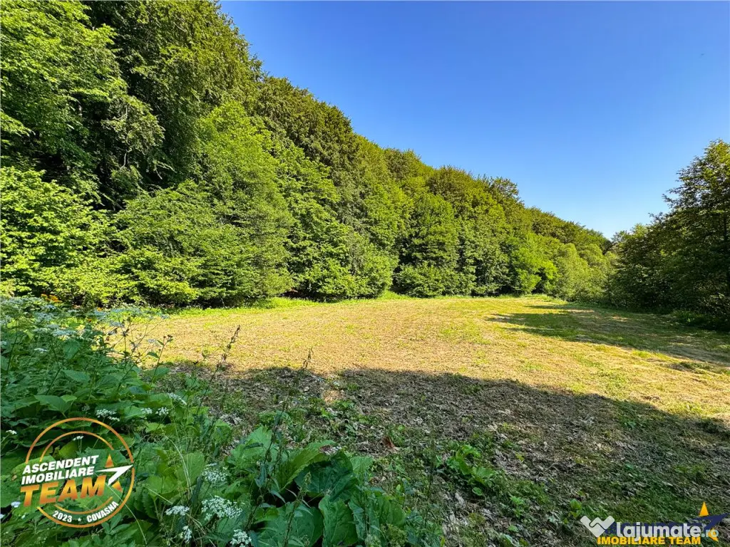 FILM! Teren extravilan pe 2.737mp,zona pretioasa,acces facil 