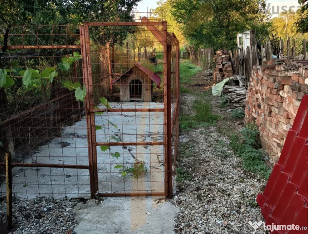 ???? Casa ideală pentru familia ta – Valea Voievozilor, R 