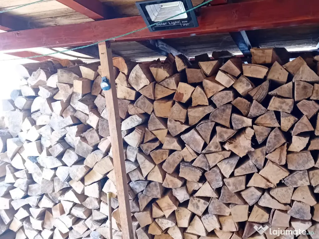 Lemne de foc esenta tare 