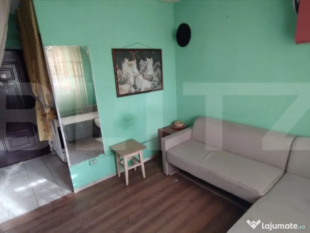 Camera De Camin - BULEVARDUL POITIERES ( zona RVR) 