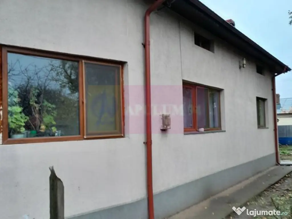 VANZARE CASA P+1 SAT ISLAZ COM. BRANESTI (IF)