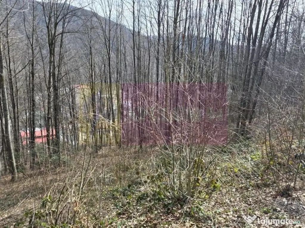 Tere intravilan de vanzare in Sinaia 