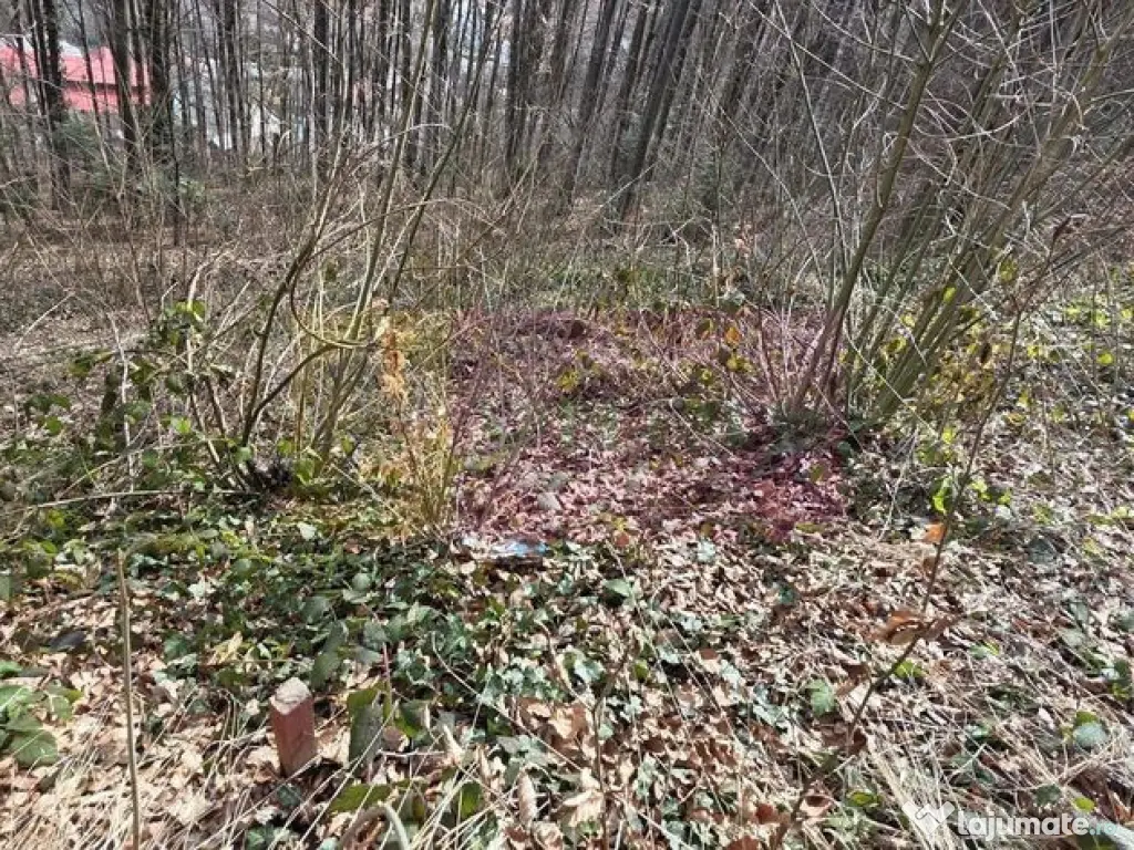 Tere intravilan de vanzare in Sinaia 