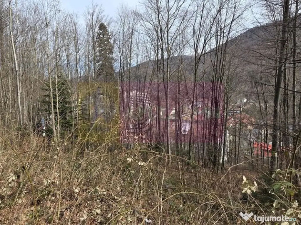 Tere intravilan de vanzare in Sinaia 