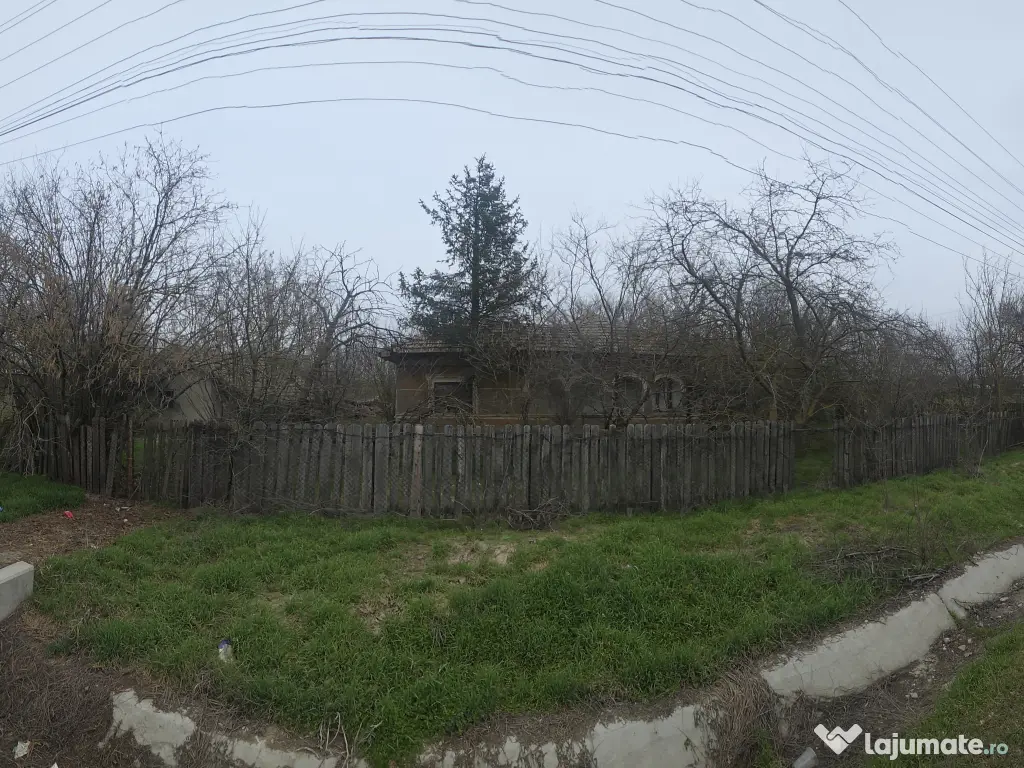 🏡 Teren 5000 mp intravilan + casa veche | Curcani | 50 km Bucuresti