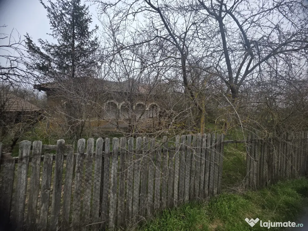 🏡 Teren 5000 mp intravilan + casa veche | Curcani | 50 km Bucuresti