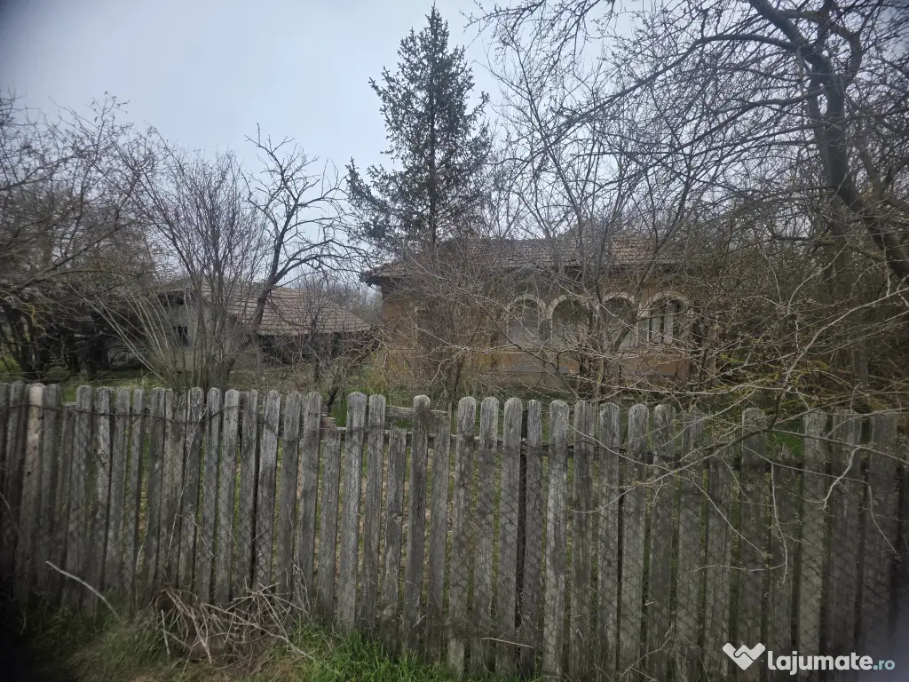 🏡 Teren 5000 mp intravilan + casa veche | Curcani | 50 km Bucuresti