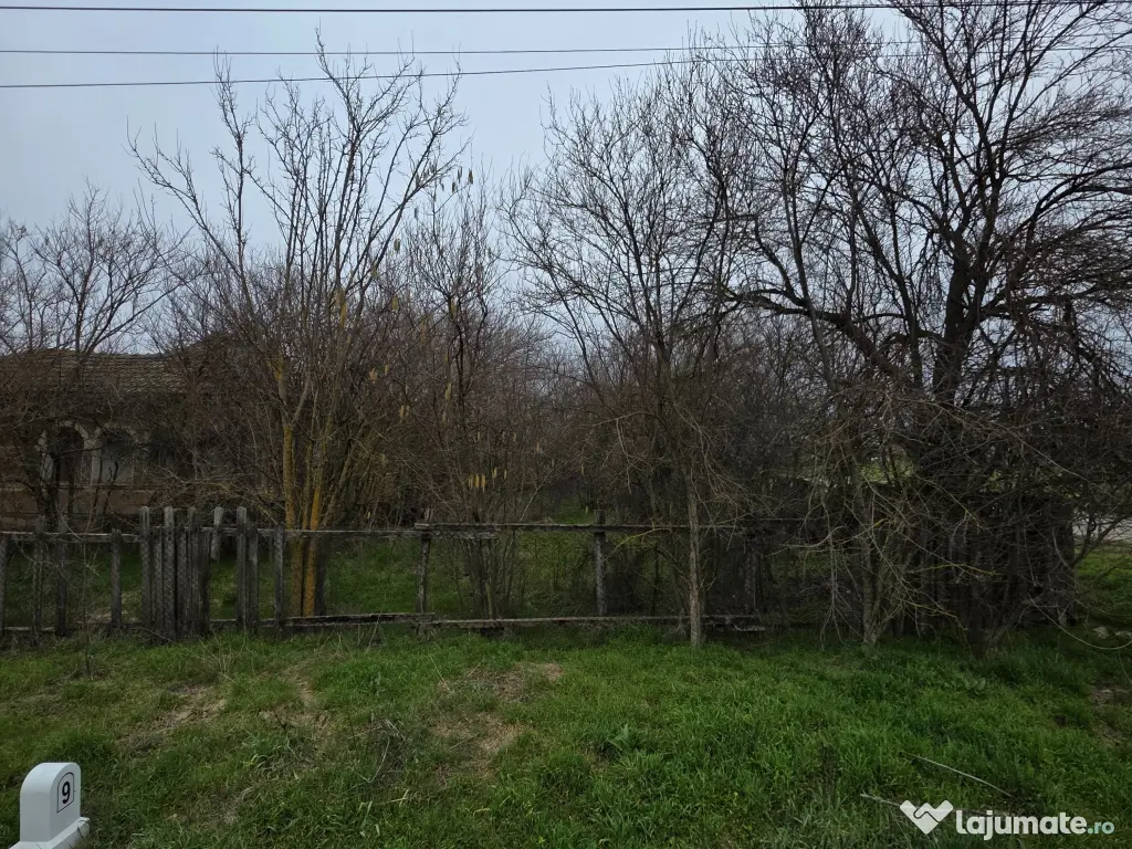 🏡 Teren 5000 mp intravilan + casa veche | Curcani | 50 km Bucuresti