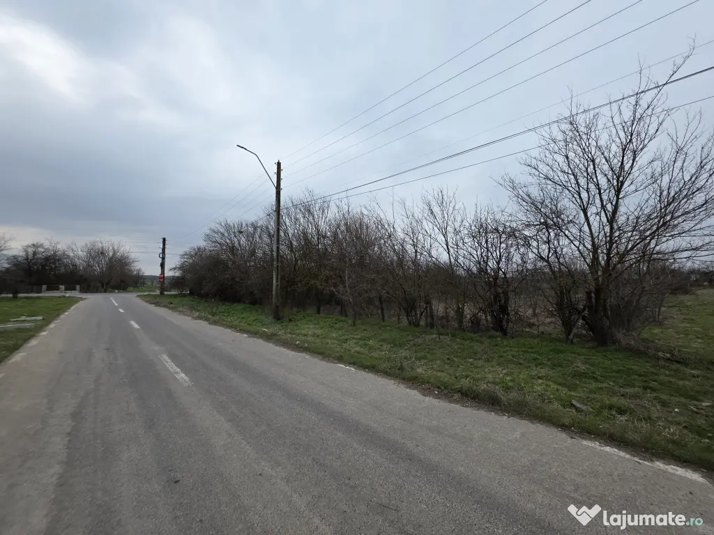 🏡 Teren 5000 mp intravilan + casa veche | Curcani | 50 km Bucuresti