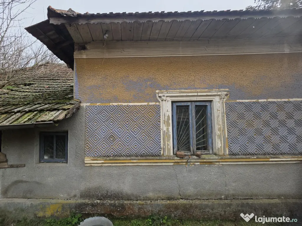 🏡 Teren 5000 mp intravilan + casa veche | Curcani | 50 km Bucuresti