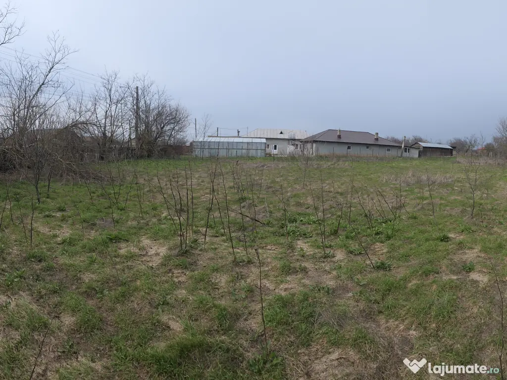 🏡 Teren 5000 mp intravilan + casa veche | Curcani | 50 km Bucuresti