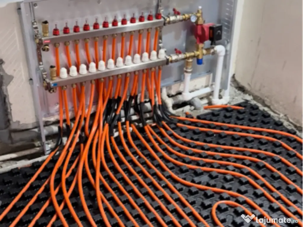 Câine ciobănesc german 