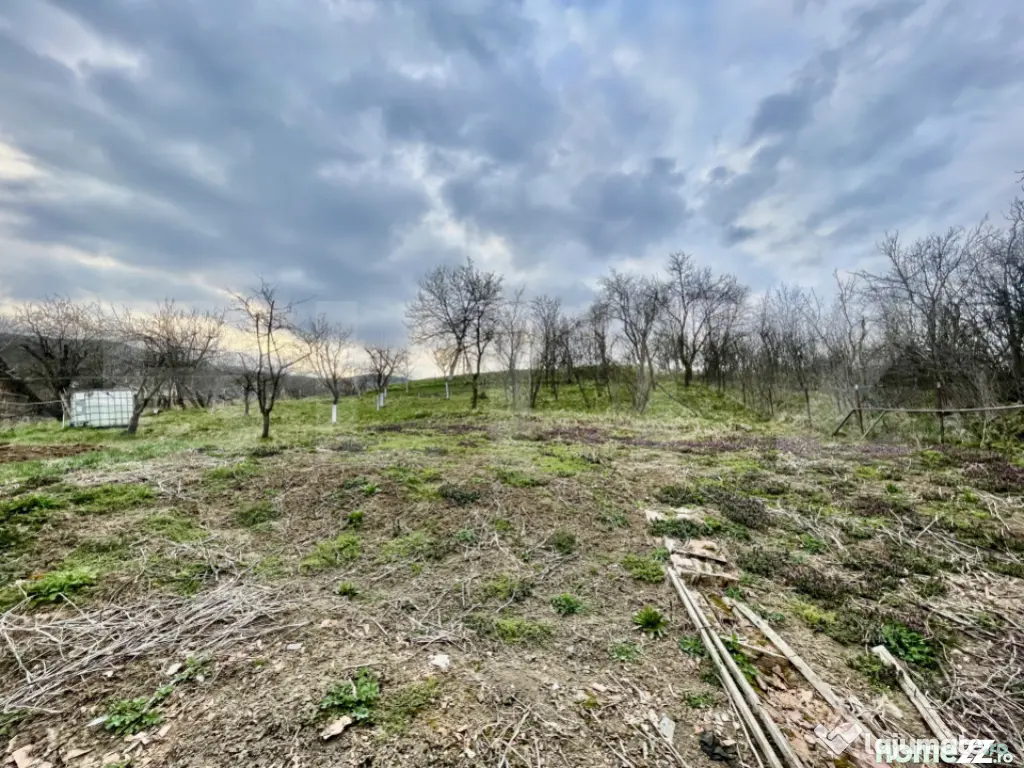 Casă în Cetea, 2 camere, 72 mp utili, teren 793 mp 