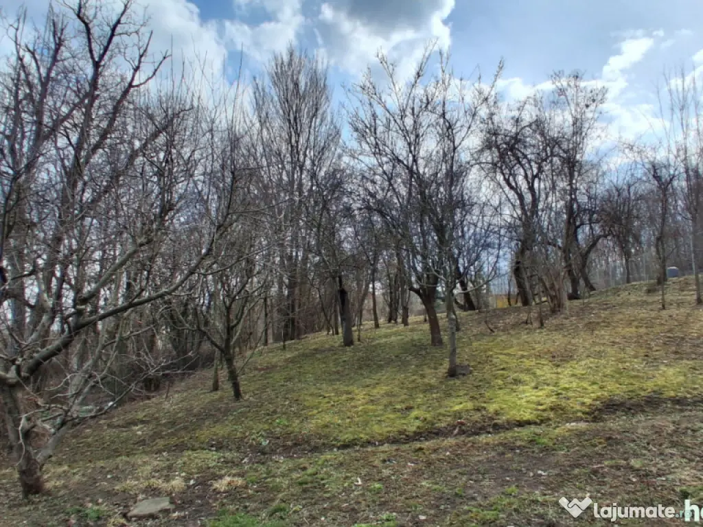 Casă cu teren generos de vânzare în Poiana Câmpina 